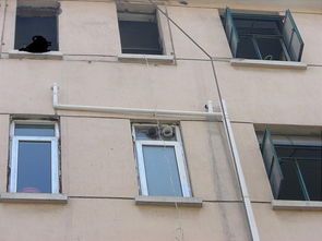 建筑與家居材料的革新與發(fā)展趨勢